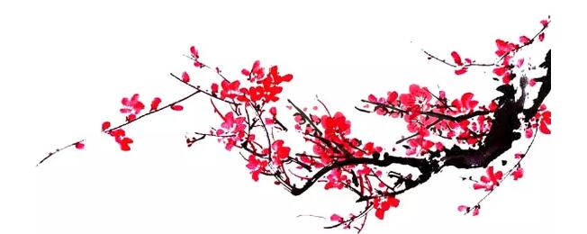 宝马bm1122线路顶级(中国游)有限公司官网